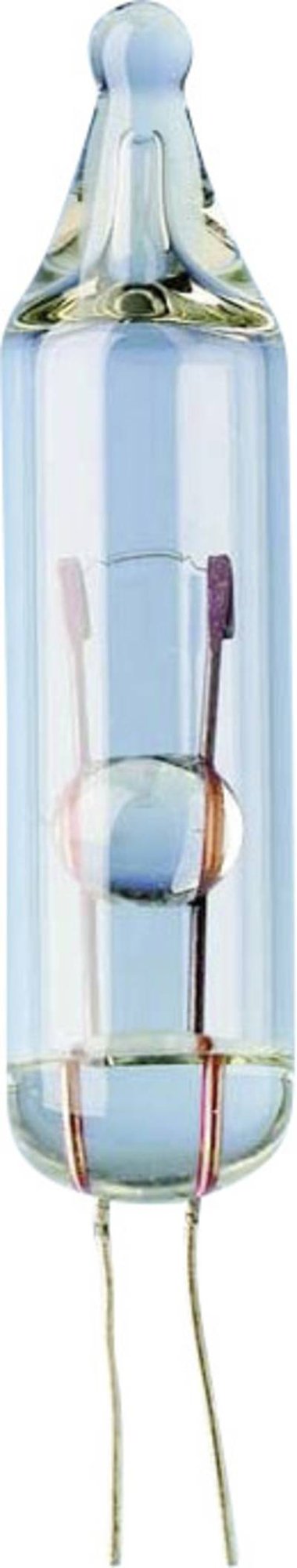 TRU COMPONENTS 1590261 Miniatur Glühlampe 24 V 0.96 W Drahtenden Klar 1 St.