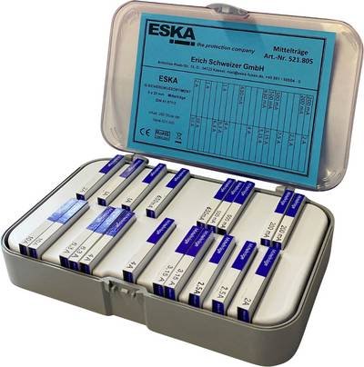 ESKA 521805 Sicherungs-Sortiment Inhalt 200 St.