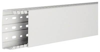 Hager HA740100 Verdrahtungskanal (L x B x H) 2 m x 100 mm x 40 mm 2 m Grau