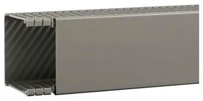 Hager BA68008007030O Verdrahtungskanal (L x B x H) 2 m x 88 mm x 84 mm 2 m Grau