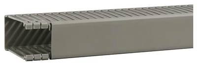 Hager BA68004007030O Verdrahtungskanal (L x B x H) 2 m x 47 mm x 84 mm 2 m Grau