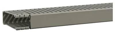 Hager BA68002507030O Verdrahtungskanal (L x B x H) 2 m x 31 mm x 84 mm 2 m Grau