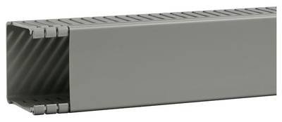 Hager BA66006007030O Verdrahtungskanal (L x B x H) 2 m x 67 mm x 64 mm 2 m Grau
