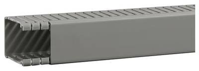 Hager BA66004007030O Verdrahtungskanal (L x B x H) 2 m x 47 mm x 64 mm 2 m Grau