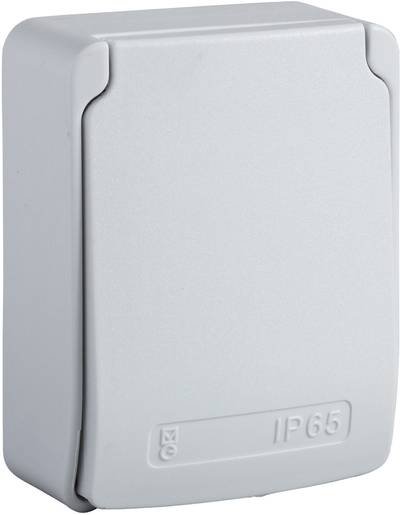 Schneider Electric 81143 Anbau-Steckdose IP65 Grau (RAL 7035)