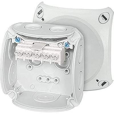 Hensel 62000001 Abzweigkasten (L x B x H) 93 x 93 x 62 mm Grau IP66 1 St.