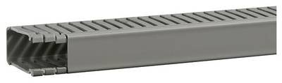 Hager BA66002507030O Verdrahtungskanal (L x B x H) 2 m x 31 mm x 64 mm 2 m Grau