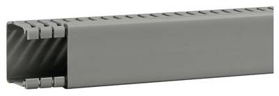 Hager BA64004007030O Verdrahtungskanal (L x B x H) 2 m x 47 mm x 43 mm 2 m Grau