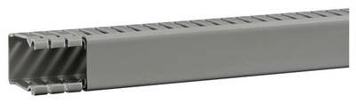 Hager BA64002507030O Verdrahtungskanal (L x B x H) 2 m x 31 mm x 43 mm 2 m Grau