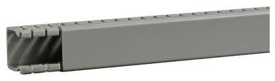 Hager BA63002507030O Verdrahtungskanal (L x B x H) 2 m x 31 mm x 33 mm 2 m Grau