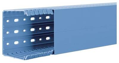 Hager BA780100BL Verdrahtungskanal (L x B x H) 2 m x 100 mm x 80 mm 2 m Blau
