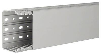 Hager BA760100 Verdrahtungskanal (L x B x H) 2 m x 100 mm x 60 mm 2 m Grau