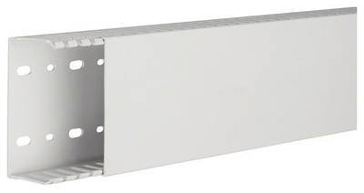 Hager HNG5010007035B Verdrahtungskanal (L x B x H) 2 m x 100 mm x 50 mm 2 m Grau