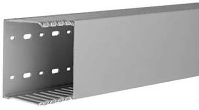 Hager DNG7510007030B Verdrahtungskanal (L x B x H) 2 m x 100 mm x 75 mm 2 m Grau
