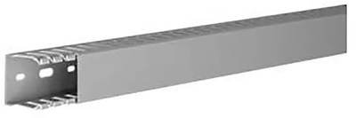 Hager DNG3703707030B Verdrahtungskanal (L x B x H) 2 m x 37 mm x 37 mm 2 m Grau