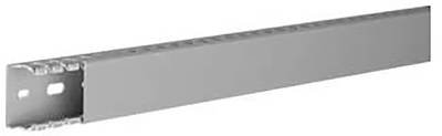 Hager DNG2503707030B Verdrahtungskanal (L x B x H) 2 m x 37 mm x 25 mm 2 m Grau