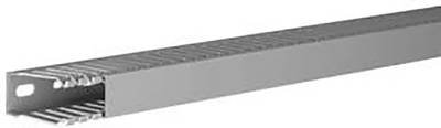 Hager DNG5002507030B Verdrahtungskanal (L x B x H) 2 m x 25 mm x 50 mm 2 m Grau
