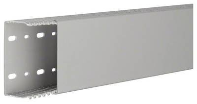 Hager LKG5010007030B Verdrahtungskanal (L x B x H) 2 m x 100 mm x 50 mm 2 m Grau