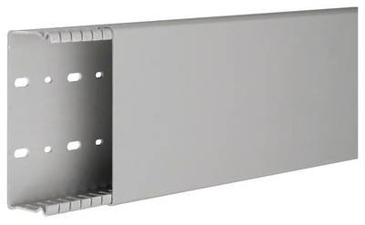 Hager BA64012007030B Verdrahtungskanal (L x B x H) 2 m x 129 mm x 44 mm 2 m Grau
