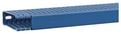 Hager BA6800250BLAUB Verdrahtungskanal (L x B x H) 2 m x 25 mm x 84 mm 2 m Blau