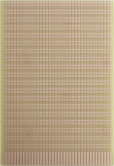 Rademacher WR-Typ 946 Prüfungsplatine Hartpapier (L x B) 160 mm x 100 mm 35 µm Rastermaß 2.54 mm Inhalt 1 St.