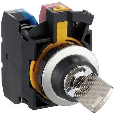 Idec CW4K-2AE20 CW Series Schlüsselschalter 300 V 10 A 2 x 45 ° IP65, IP66 1 St.