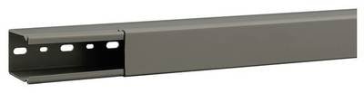 Hager B6004007030B Verdrahtungskanal (L x B x H) 2000 x 46 x 65 mm 2 m Grau