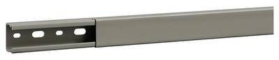 Hager B2002507030B Verdrahtungskanal (L x B x H) 2000 x 31 x 23 mm 2 m Grau