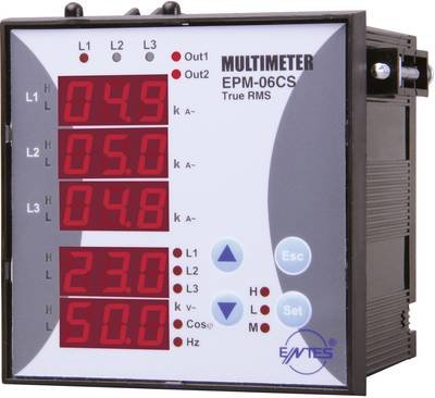 ENTES EPM-06CS-96 Digitales Einbaumessgerät