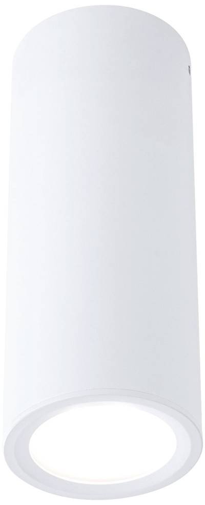 Paulmann 93105 Barrel LED-Aufbauleuchte LED 6 W Weiß (matt)