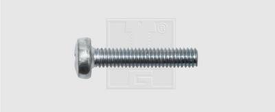 SWG 4009146053419 Gewindeschrauben-Sortiment M6 40 mm Kreuzschlitz Phillips DIN 7985 Stahl verzinkt 100 St.
