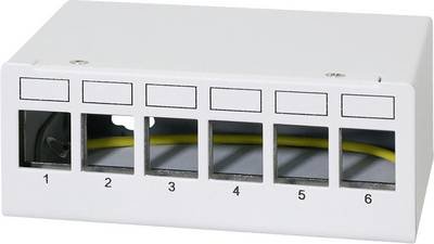 LogiLink NK4091 Patch-Panel CAT 6a Lichtgrau (RAL 7035)