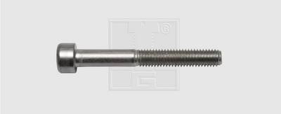 SWG 9465067 Innensechskantschrauben M6 50 mm Innensechskant Edelstahl A2 25 St.