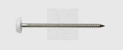 SWG 1838168010 Nägel mit Plastikkopf (Ø x L) 2 mm x 30 mm Edelstahl A4 250 St.