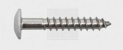 SWG 211555620 Fassadenschraube 5.5 mm 55 mm T-Profil Edelstahl A4 100 St.