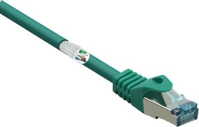 Renkforce RF-5224646 RJ45 Netzwerkkabel, Patchkabel CAT 6a S/FTP 10.00 m Grün mit Rastnasenschutz, Flammwidrig 1 St.