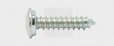 SWG 4009146163606 Nummernschild-Schrauben 4.8 mm 16 mm Kreuzschlitz Phillips Stahl verzinkt 100 St.