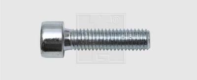 SWG 4009146067812 Innensechskantschrauben 8 mm 25 mm Innensechskant Stahl verzinkt 100 St.