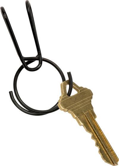 NITE Ize Schlüsselring KSQR-01-R6 SqueezeRing Easy Load Key Clip Schwarz 1 St.