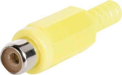 BKL Electronic 072210/T Cinch-Steckverbinder Buchse, gerade Polzahl: 2 Rot 1 St.