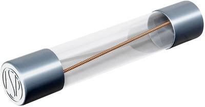 Püschel Feinsicherungen FSUT0,4B FSUT0,4B Feinsicherung (Ø x L) 6.3 mm x 32 mm 0.4 A 250 V Träge -T- Inhalt 10 St.
