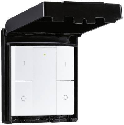 50137 Paulmann Home Wandschalter Schwarz