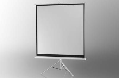 celexon Stativleinwand Economy 219 x 219 cm - White Edition