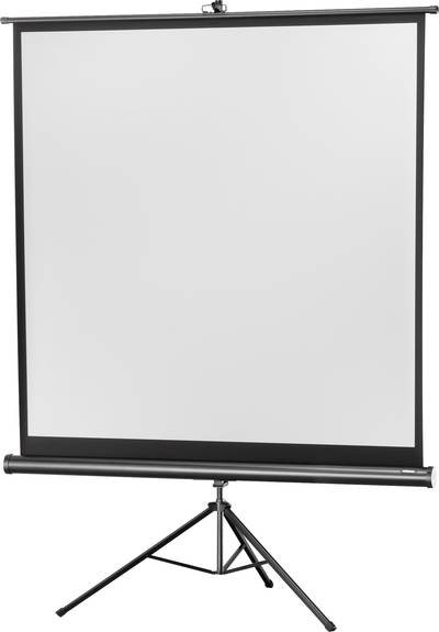 celexon Stativleinwand Economy 219 x 219 cm