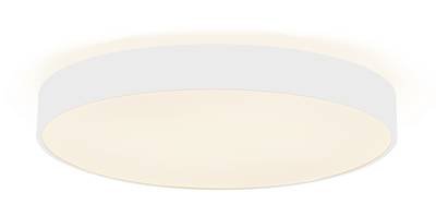 Deko Light Menkar 348198 Deckenaufbauleuchte LED fest eingebaut 43 W Verkehrsweiß (RAL 9016)