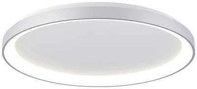 Deko Light Merope Deckenaufbauleuchte LED fest eingebaut 60 W Warmweiß, Neutralweiß Silber