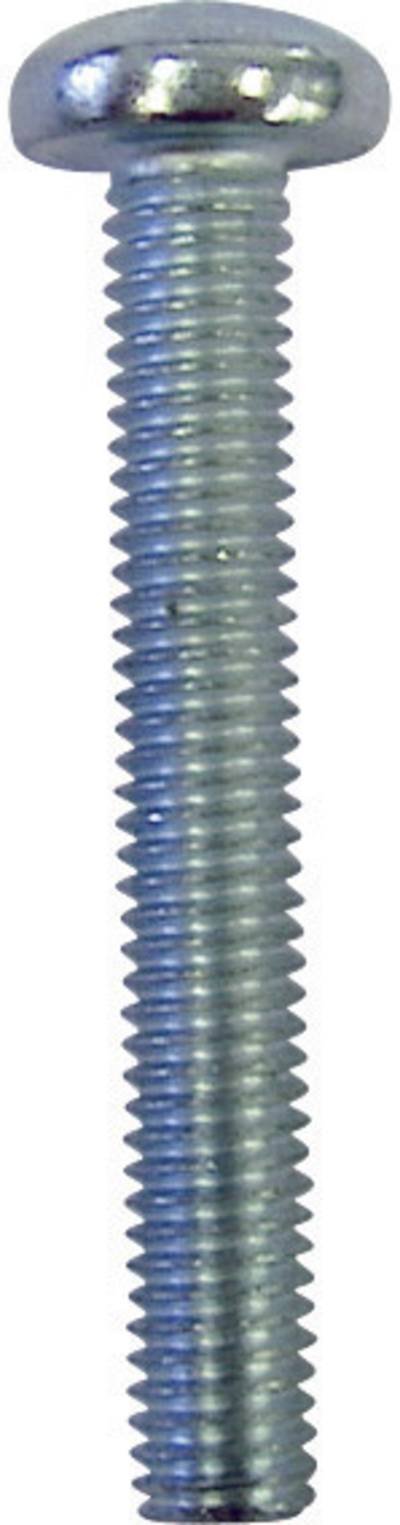 TOOLCRAFT 839894 Linsenschrauben M4 16 mm T-Profil DIN 7985 Edelstahl 100 St.