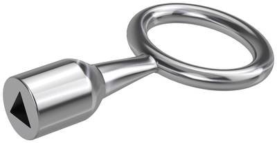 Basi 301D-10 Dornschlüssel Silber