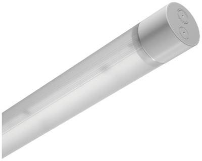 Trilux TugraHE+ LED-Feuchtraumleuchte LED LED 35 W Neutralweiß Grau