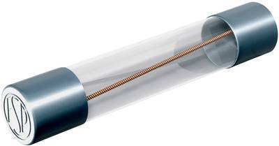 Püschel Feinsicherungen FSUF0,1B FSUF0,1B Feinsicherung (Ø x L) 6.3 mm x 32 mm 0.1 A 250 V Flink -F- Inhalt 10 St.